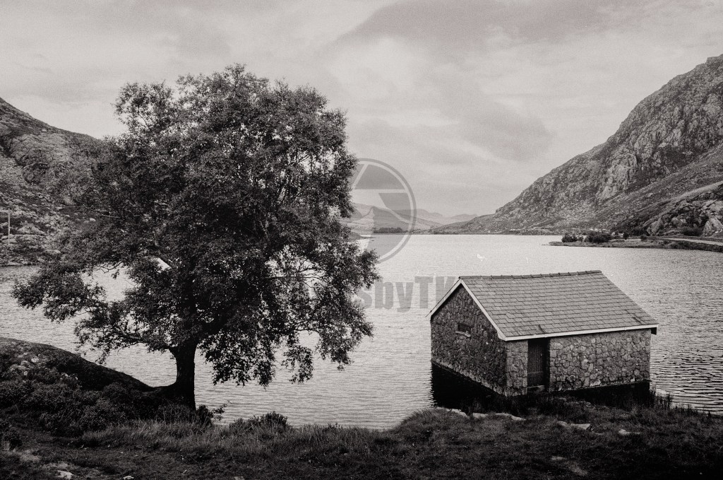 First Roll of Kentmere Pan  400 Black and White&nbsp;Film