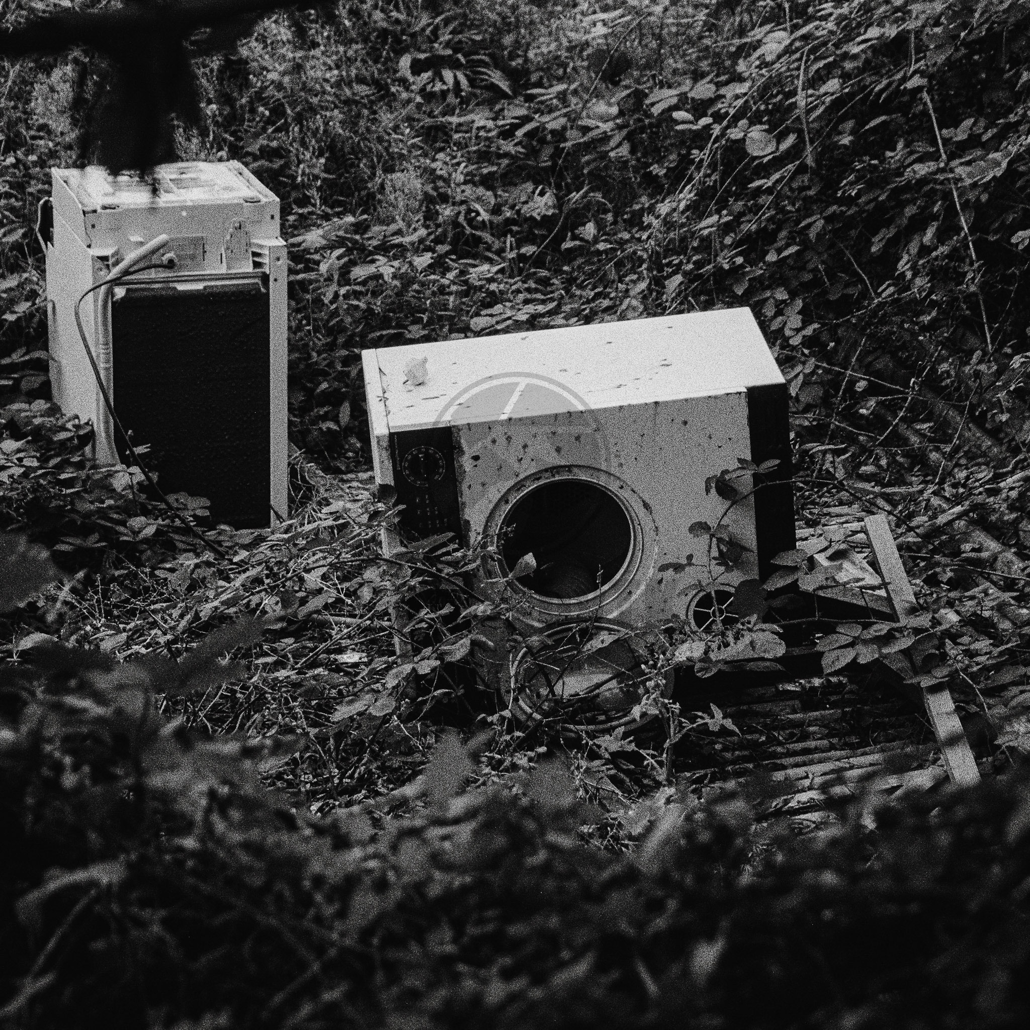 Abandoned washing machine in woodland black and white film