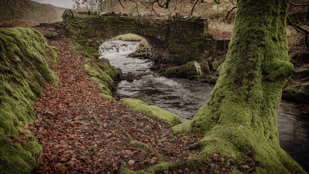 Robber Bridge, the mossy Trees and wall from the pathway