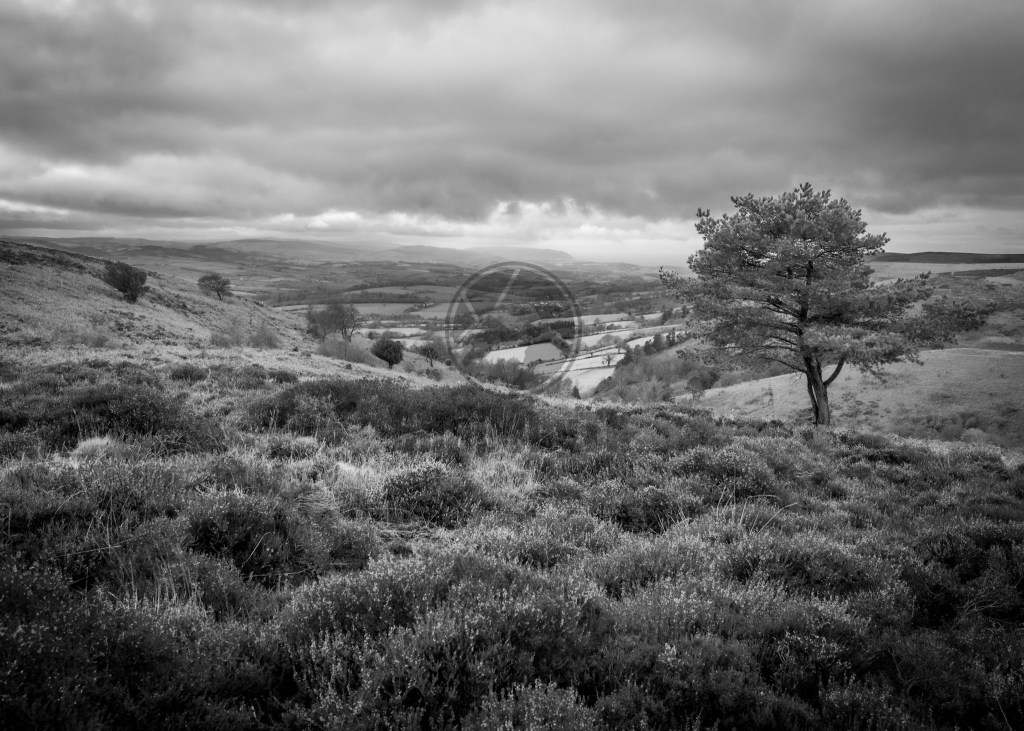 Views across the Quantocks, to the coastline and Exmoor National Park